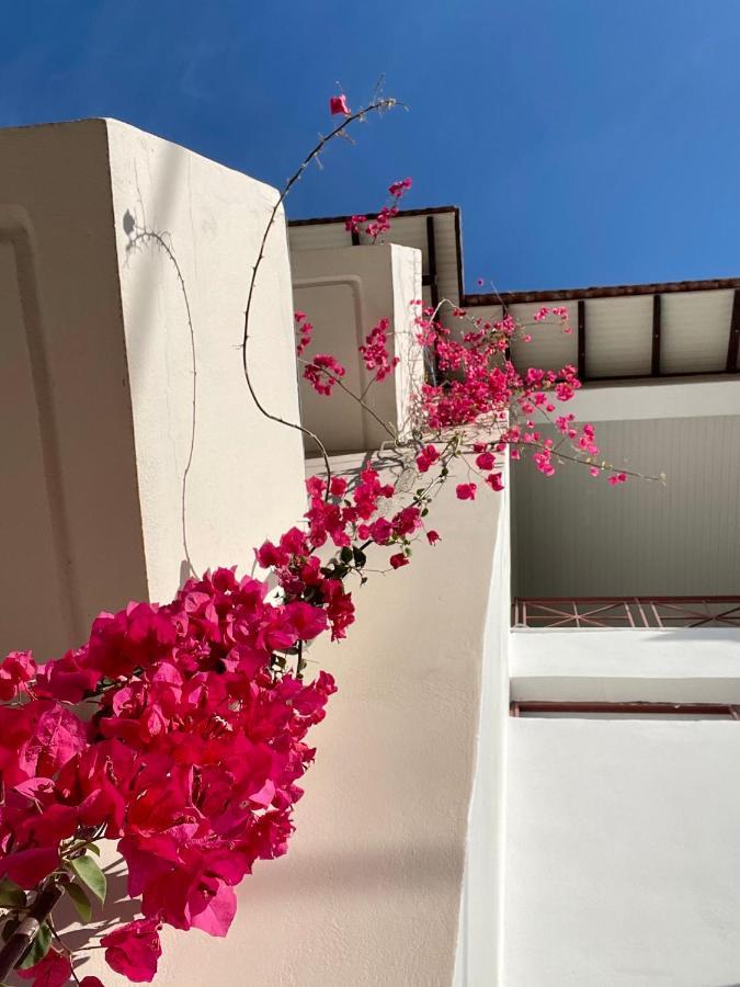 Gardenia Studios Nydri  Exterior photo
